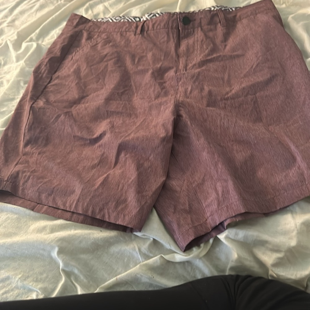 Size 38 Trunks brand shorts